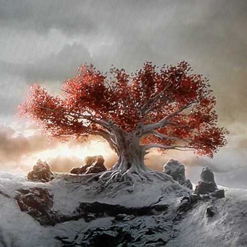 heart tree game of thrones